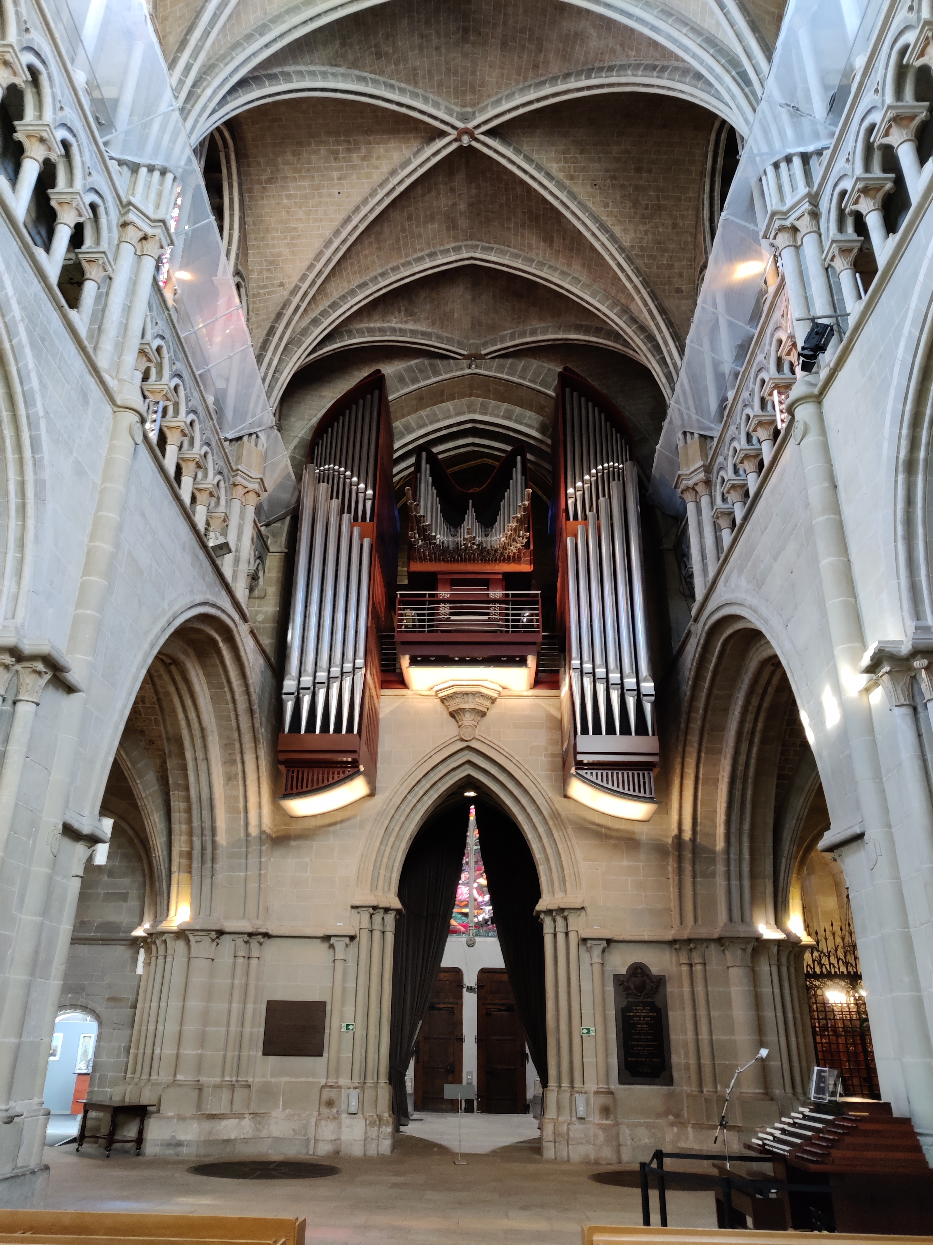 Large Organ