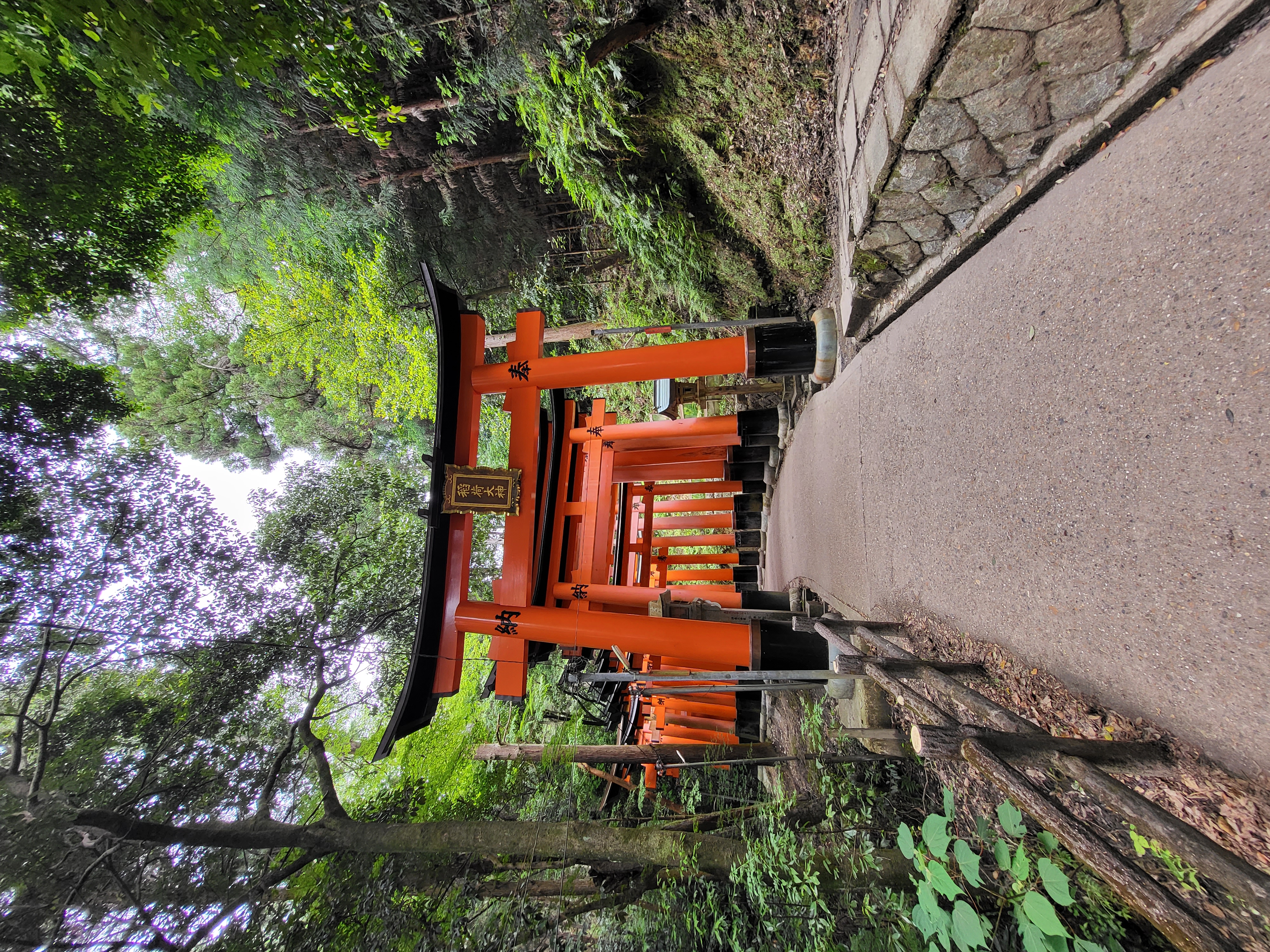 Torii Gates