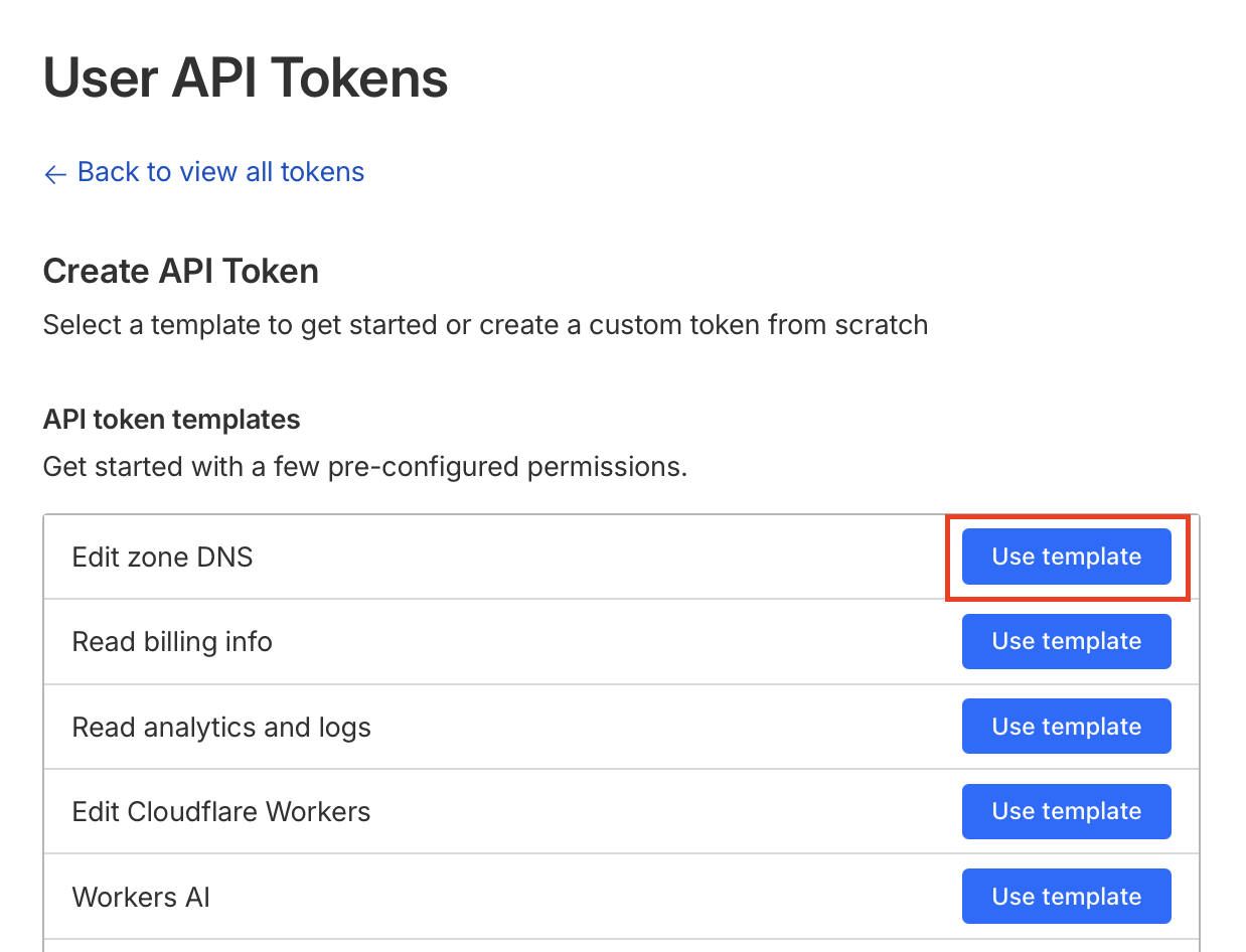 Use Template for Edit zone DNS