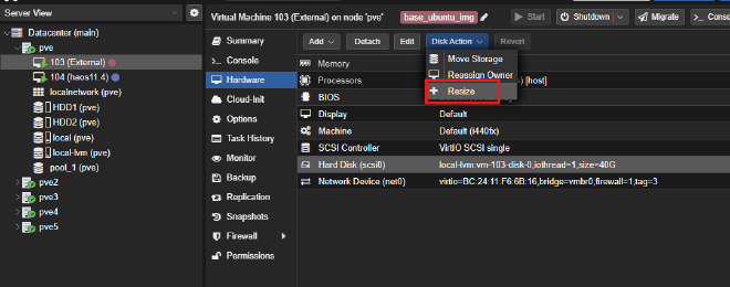 Disk Resize